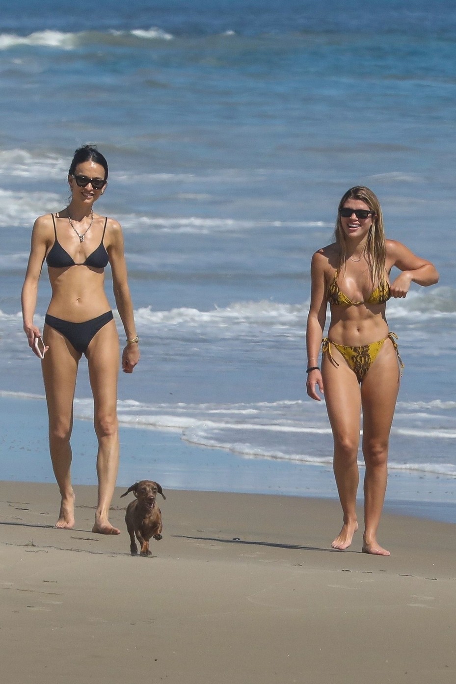 sofia-richie-sexy-thefappening-cfd-16 sofia richie sexy thefappening cfd 16