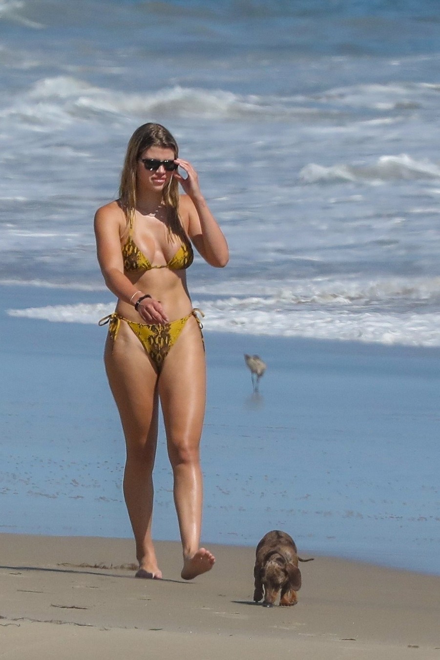sofia-richie-sexy-thefappening-cfd-41 sofia richie sexy thefappening cfd 41