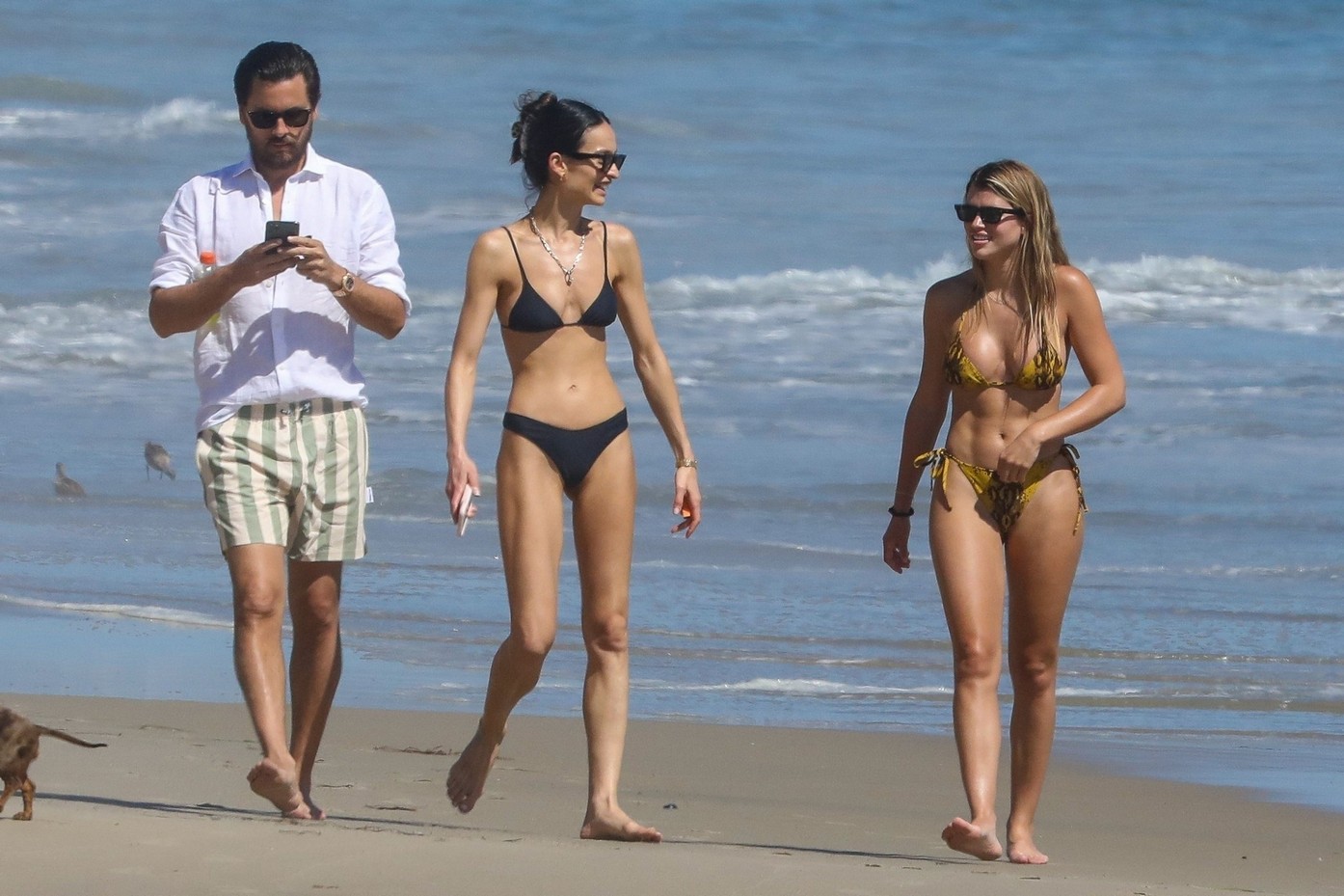 sofia-richie-sexy-thefappening-cfd-7 sofia richie sexy thefappening cfd 7