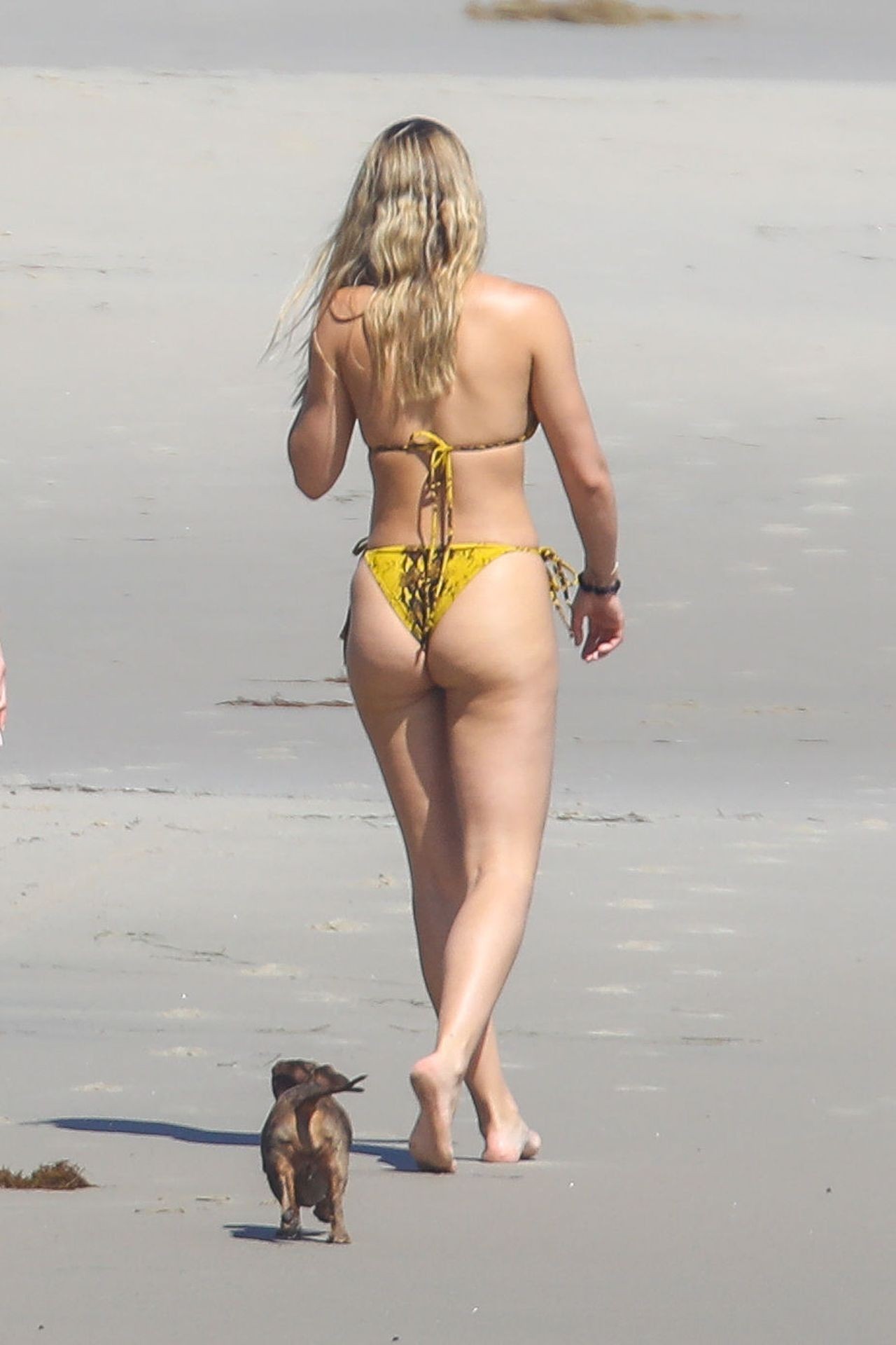 sofia-richie-sexy-thefappening-cfd-82 sofia richie sexy thefappening cfd 82