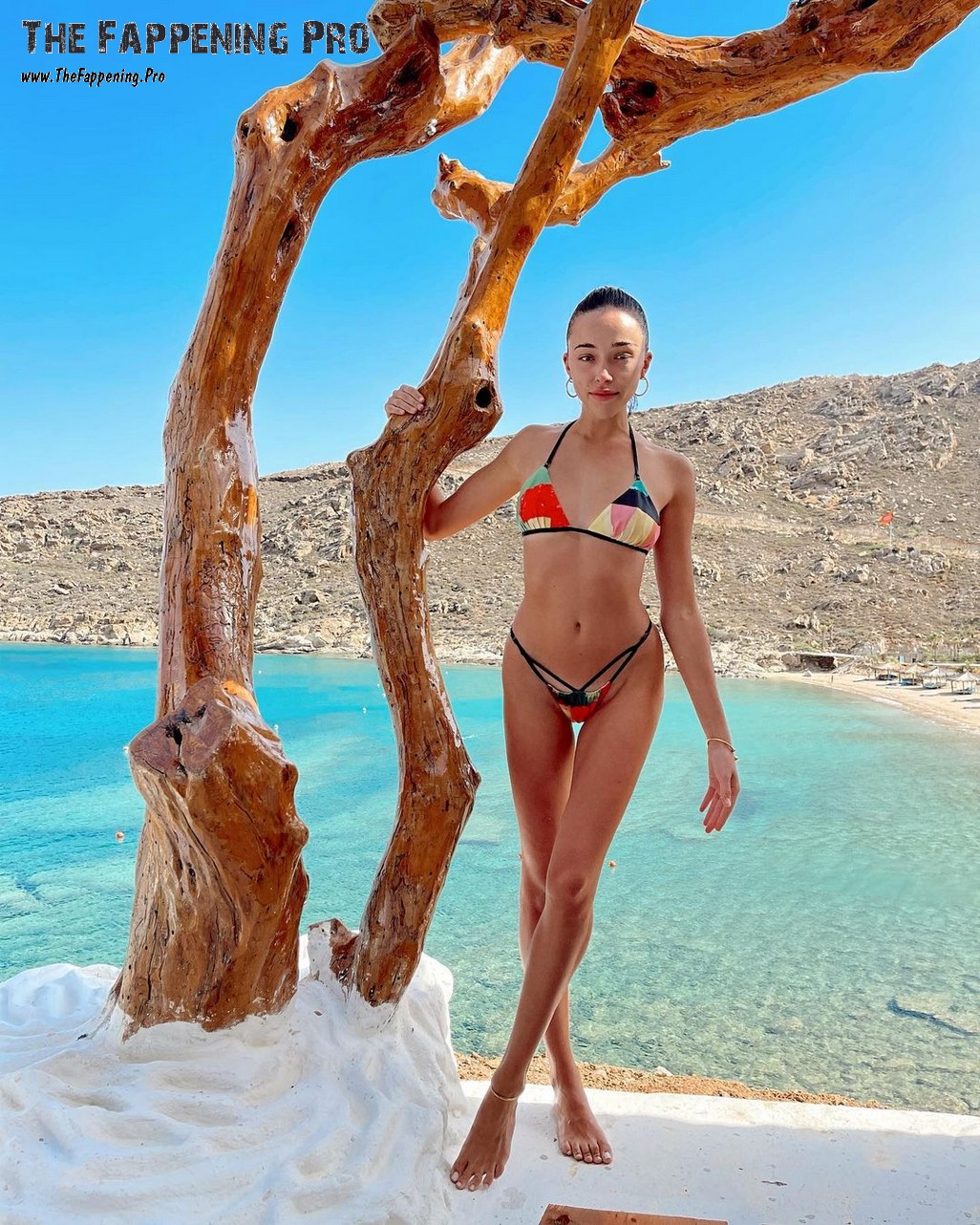 sophia culpo bikini thefappening cfd 10