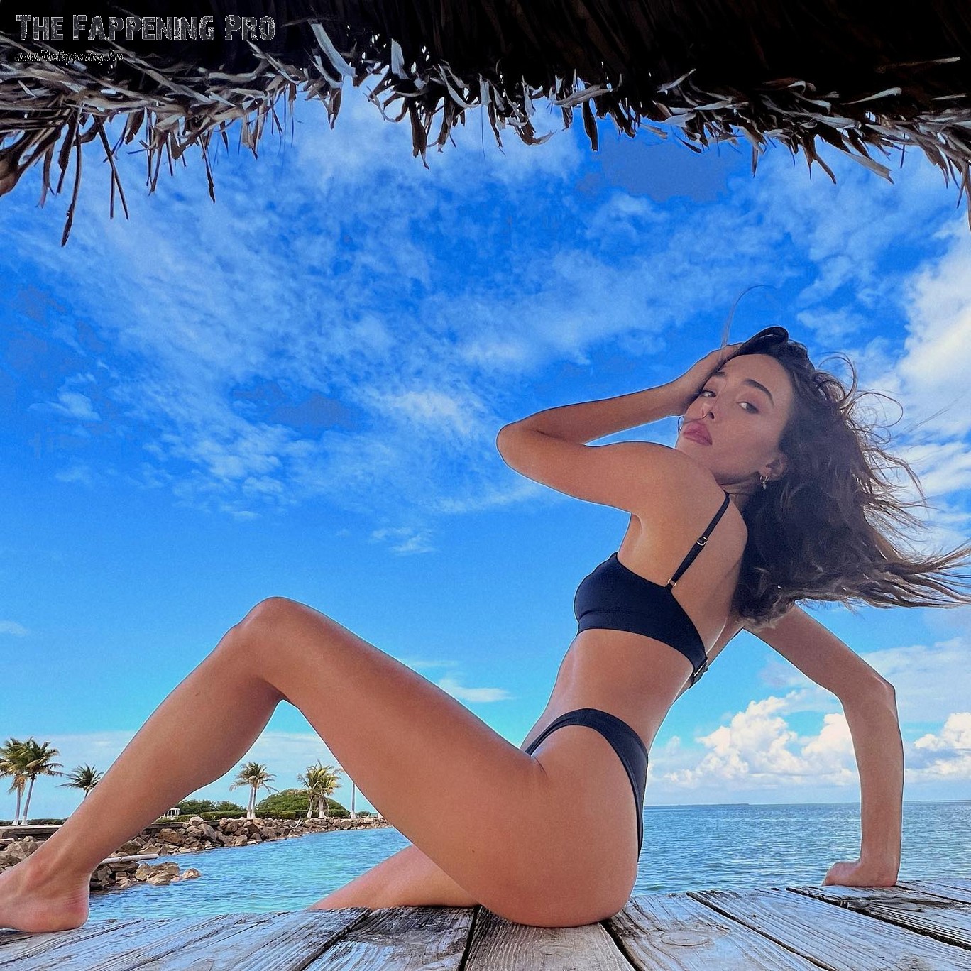 sophia culpo sexy thefappening cfd 10