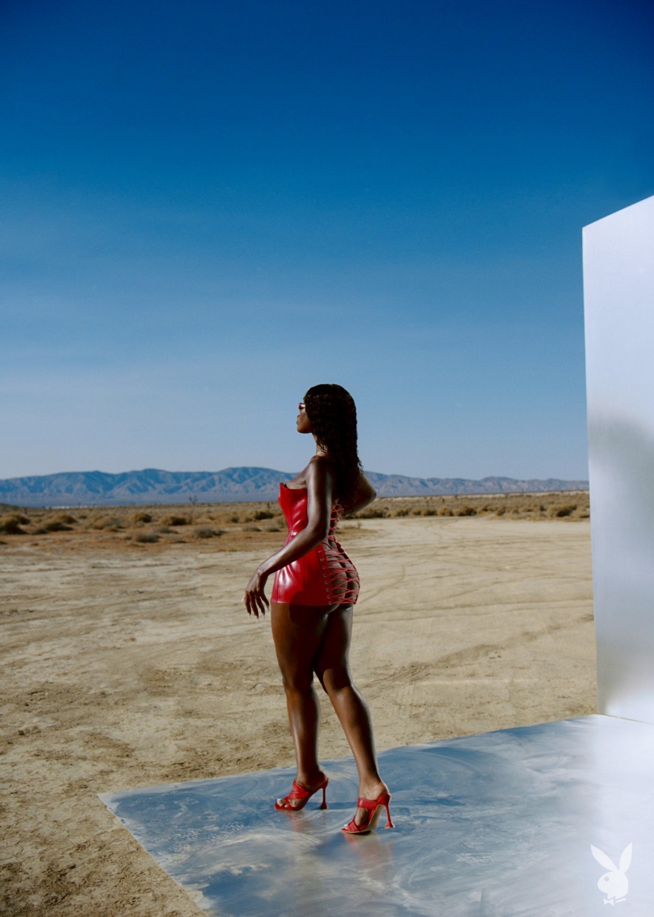 tanerelle-nude-playboy-2020-thefappening-cfd-29 Tanerelle Ass