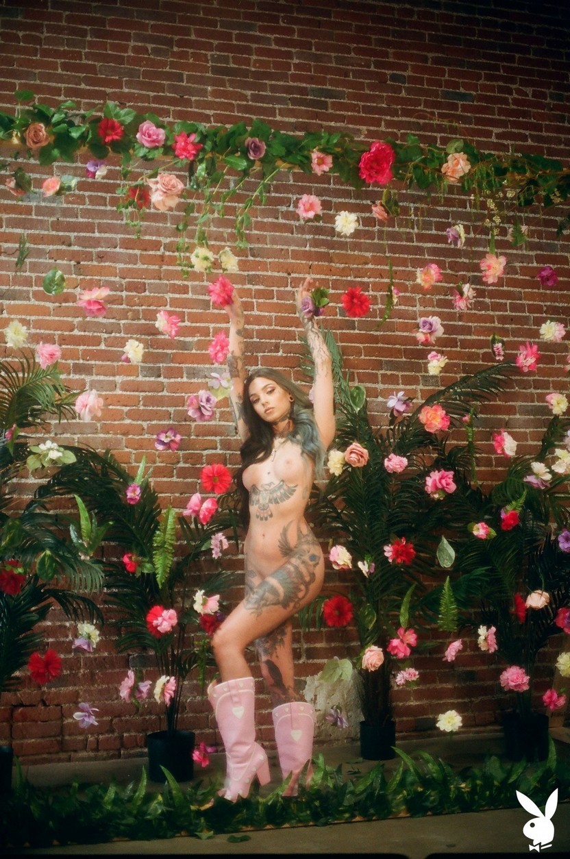 taylor-white-nude-playboy-thefappening-pro-17 taylor white nude playboy thefappening pro 17