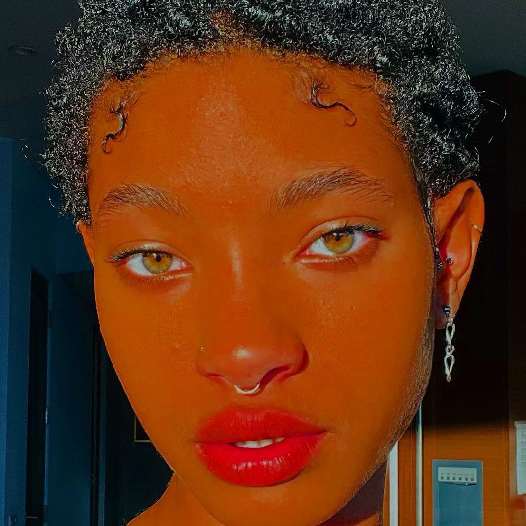 willow-smith-hottest-selfie-thefappening-cfd-13 willow smith hottest selfie thefappening cfd 13