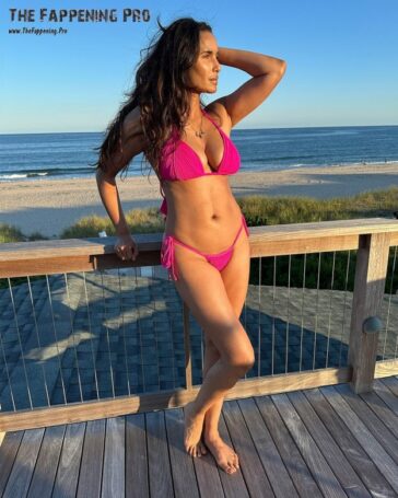 Padma Lakshmi Sexy In Bikini (2 Photos) 21 Padma Lakshmi Sexy TheFappening.Pro 2 624x780 1