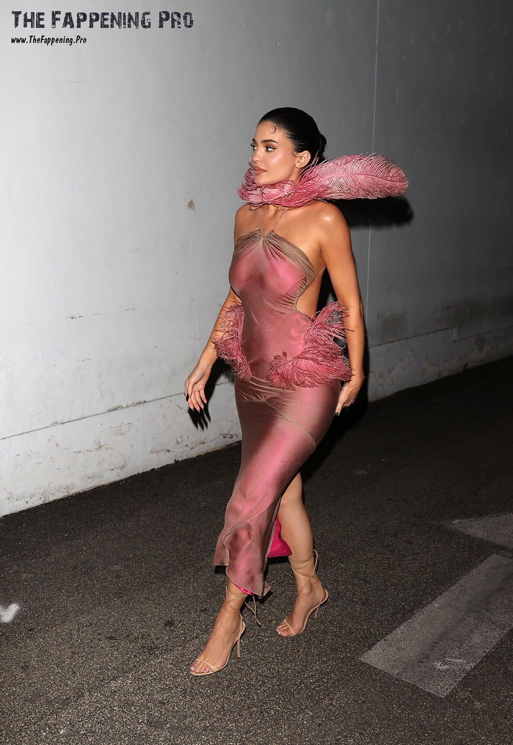 kylie jenner see through nudity thefappening cfd 8